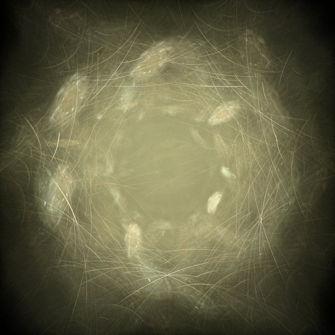 a stitching of light beams threaded into a birds nest in the tones of sepia