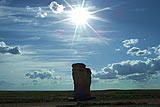 Prairie Pillar